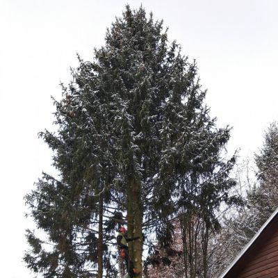 Fotogallerie