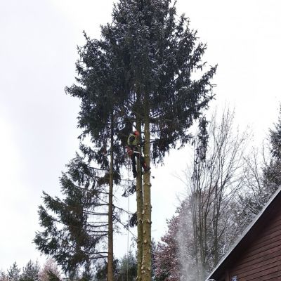 Fotogallerie