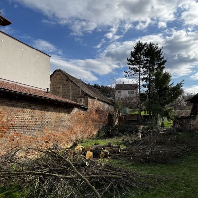 C:\fakepath\IMG 08032