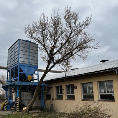 C:\fakepath\IMG 1656